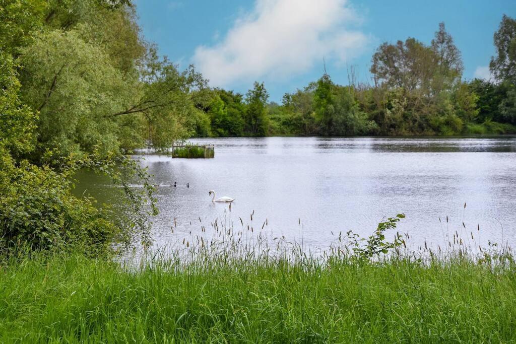 The Hideaway @ Flagham Cottage. Malmesbury Exteriör bild