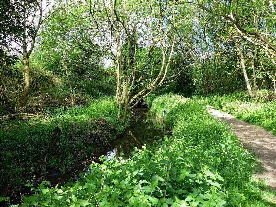 The Hideaway @ Flagham Cottage. Malmesbury Exteriör bild